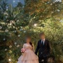 동진 | 더화이트엘리자베스 촬영 드레스 유색 헬퍼 동진 이모님 후기