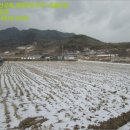 발산 태양광발전소 이미지