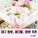 꽃다움 이미지
