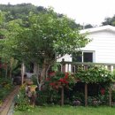 버들치민박 이미지