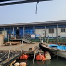 순정좌대 이미지