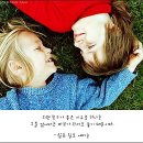 보바보바 Daum카페