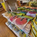 제주 단지무 vs 사쿠라지마 무 이미지