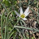 밤산농원 이미지