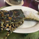 씨싸이드 이미지