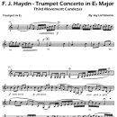 [악보] 하이든 트럼펫 협주곡 카덴자 3악장중에서 이미지