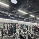 강남-297 이미지