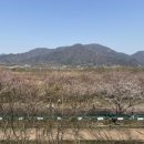 덕풍천서로 이미지