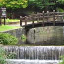 봉학골산림욕장 이미지