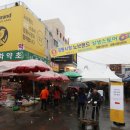 새로나패션