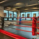 DCTRUE 복싱·크로스핏 이미지