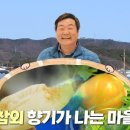 도흥1호 이미지