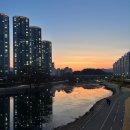 신의주찹쌀순대본사직영춘천점
