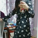 다나101