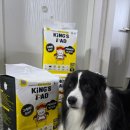 주식회사 화승가스테크 | 탈취력 최고에 흡수력 최강, 반려견 배변패드 추천 킹스패드 블랙