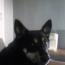 두루산장 이미지