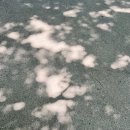 전철타고 하루여행 3호선 안국역, 창경궁, 창덕궁 후원, 담솥 안국역점, ANGUK153카페