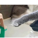 허숙희네 이미지