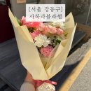 사하라블라썸