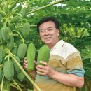 안정농산 이미지
