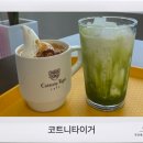 김해 진영 신상카페 : 코트니타이거