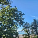 아일랜드 스토리 펜션 이미지