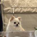 산청바이브 네이버블로그