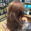마샹스헤어 - 44739 | 성님 수진역 💇‍♀️마샹스헤어 바나원장님 BTX 비건 복구클리닉 솔직 후기✨