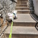 행복한 별 이미지