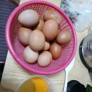 유미농장 이미지