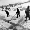 " 1960년대 한강 얼음 장수 " ... ㄷㄷㄷ 이미지