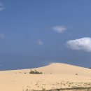 효진목장 | 나트랑 사막 산티아고 판랑투어 꿀팁 및 후기:: 양떼목장, 항라이해변, 포시즌스 레스토랑 메뉴추천...