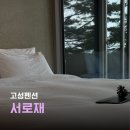 소나무이야기 펜션 | 힐링이 가능한 소나무숲 강원도 고성 독채 펜션 삼포해수욕장 근처 감성숙소