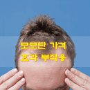 동진섬유주식회사 | 모모단 가격 효과 부작용