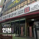 [인천 맛집] 미추홀구 맛집 : 인천 장어 무한리필 처음본 명품 민물장어 숭의점