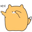 카젠(주안점) 이미지