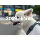 한국일상 계속된 돼지파티, 체험단 머리 망함, 대만 가기 전 바쁘게 돌아다닌 일상