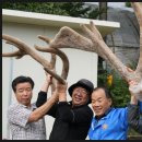 만물목장 이미지