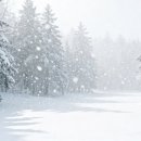 솔라시도한방병원 이미지