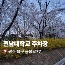 광주아름다운작은도서관 | 광주 전남대학교 주차요금 정리 광주 북구 벚꽃 명소