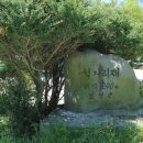고동치 이미지