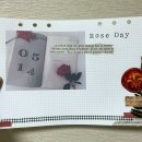 주식회사 데이그린