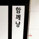 함께냥 대전점 이미지