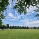 낙동강체육공원 축구장 이미지