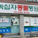 녹십자동물병원 이미지