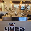 샤브렐라 이미지