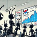 안도 이미지