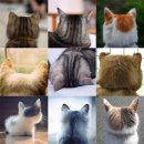 공포게임 - 엔딩이 유명한 게임 디멘티움 이미지