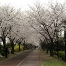 강변로길 이미지