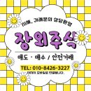 비전케이피